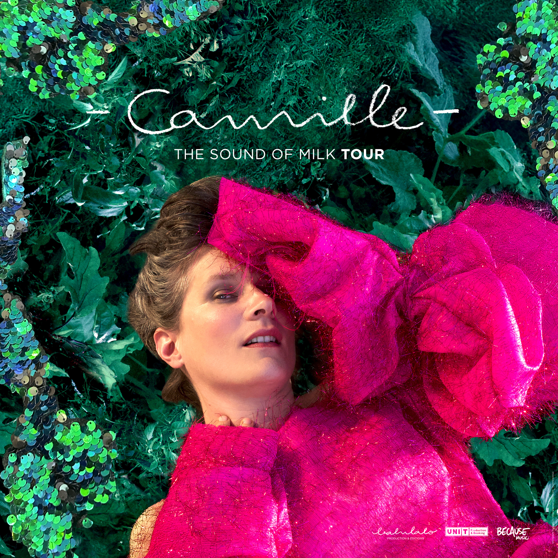Camille en concert à La Coopérative De Mai le Ven 4 déc